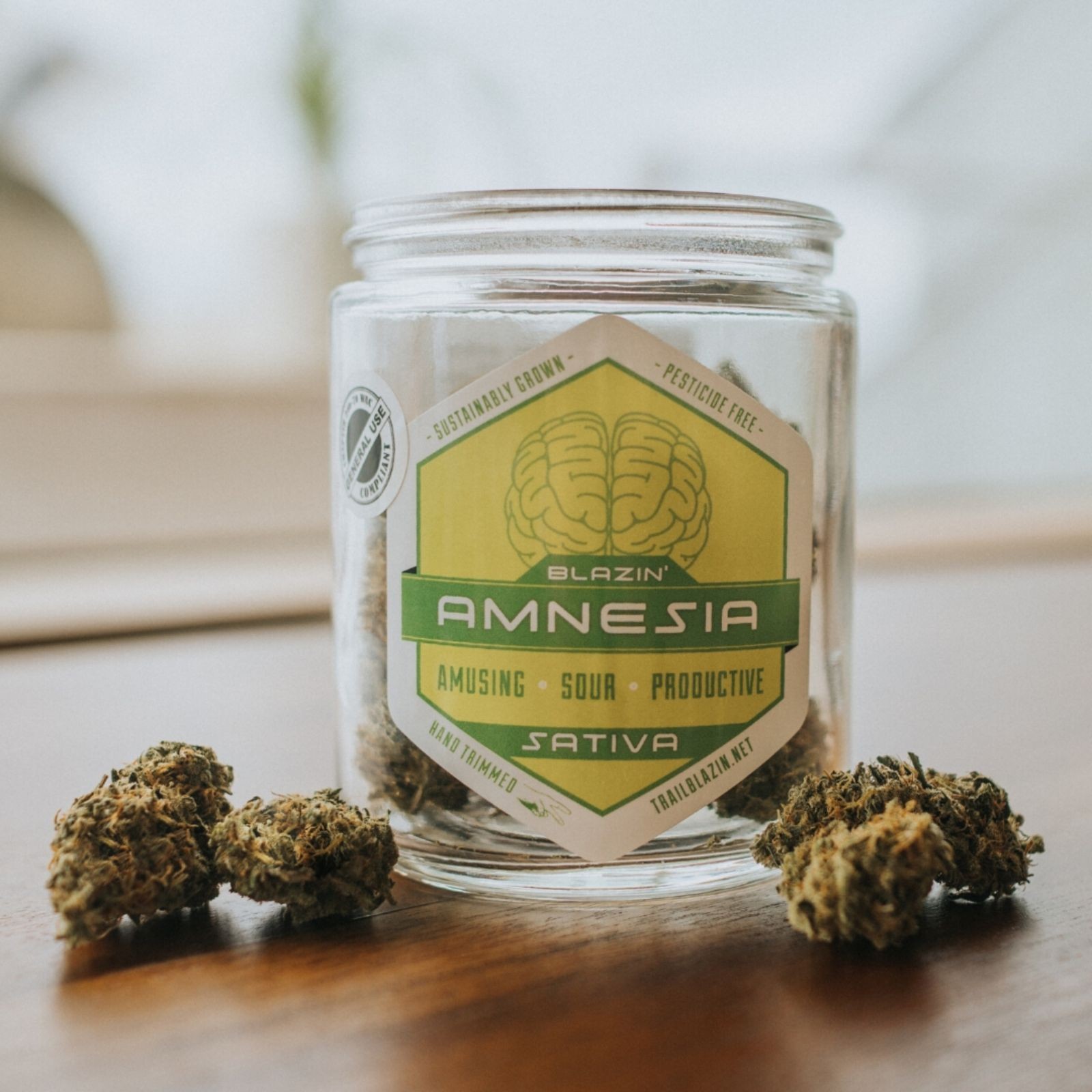 ~Trail Blazin' Capsule Amnesia
